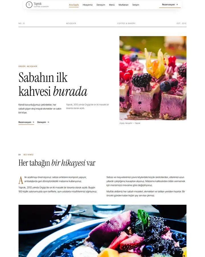 Tema 31 – Editoryal Dergi tasarım önizlemesi